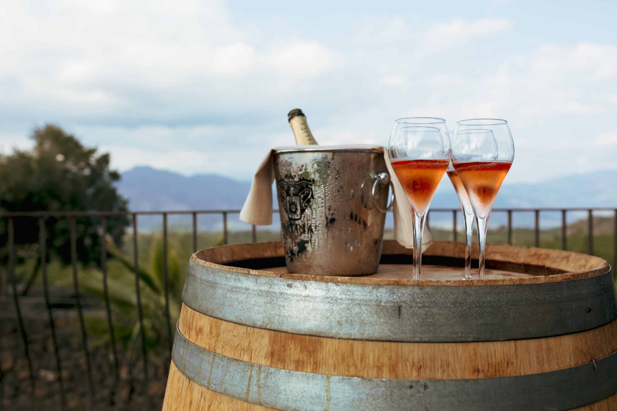 mt etna wine tasting tour